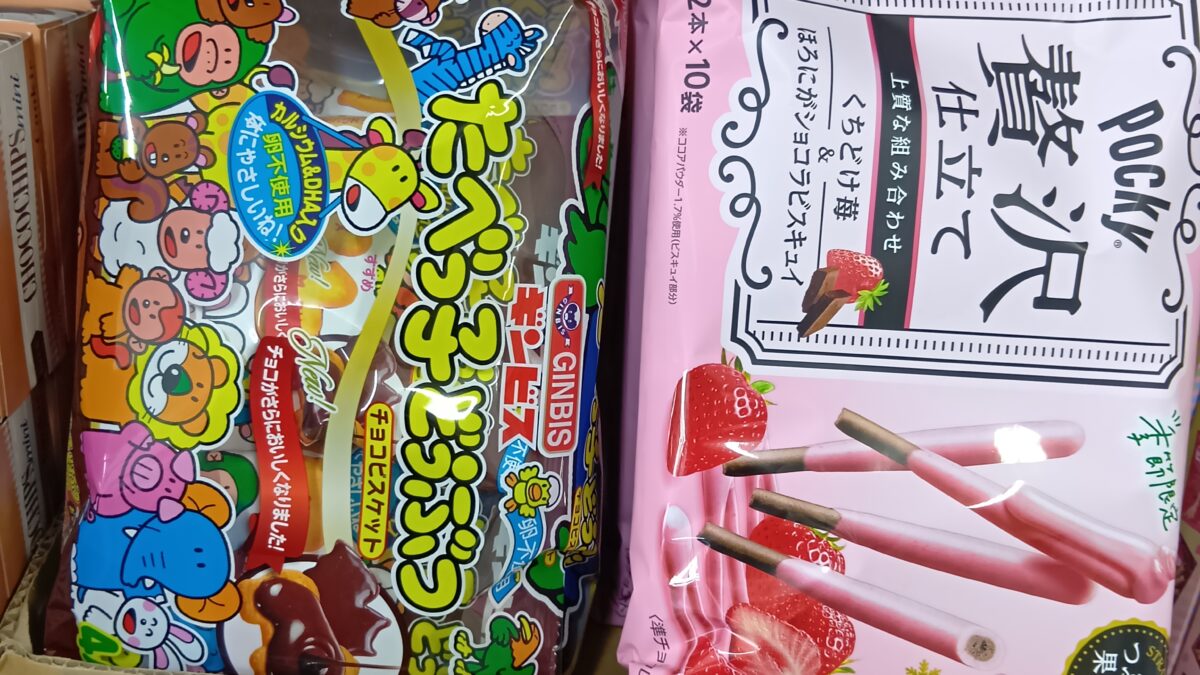 今日のおすすめ