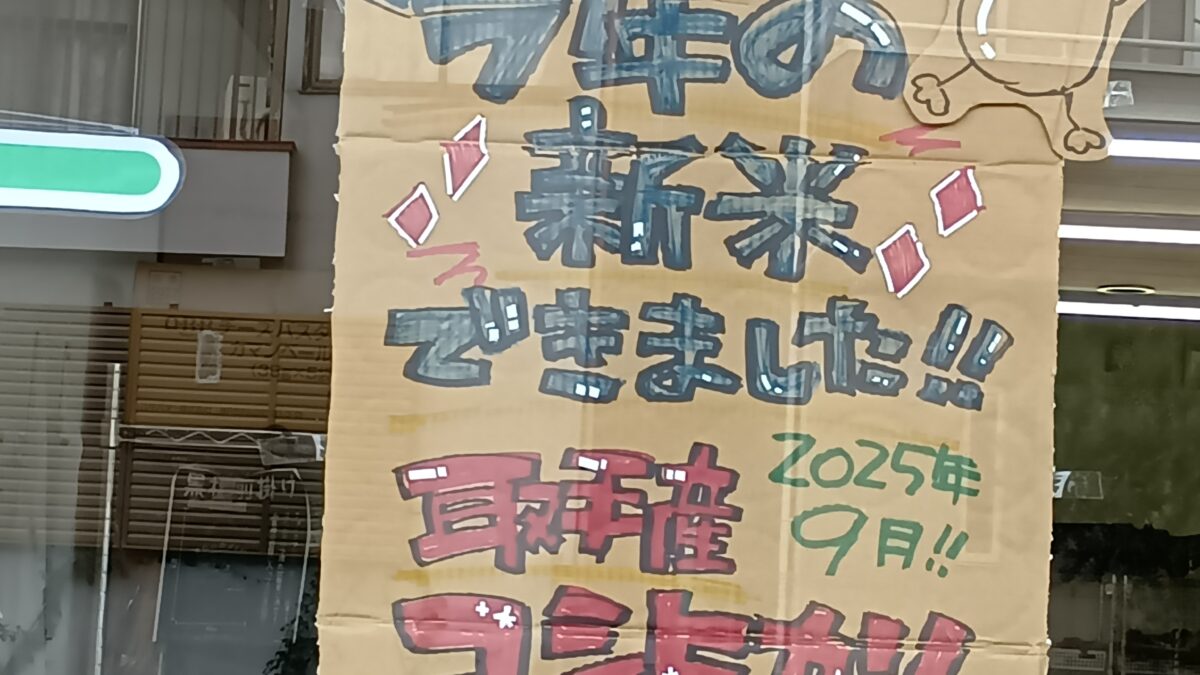 新米🌾