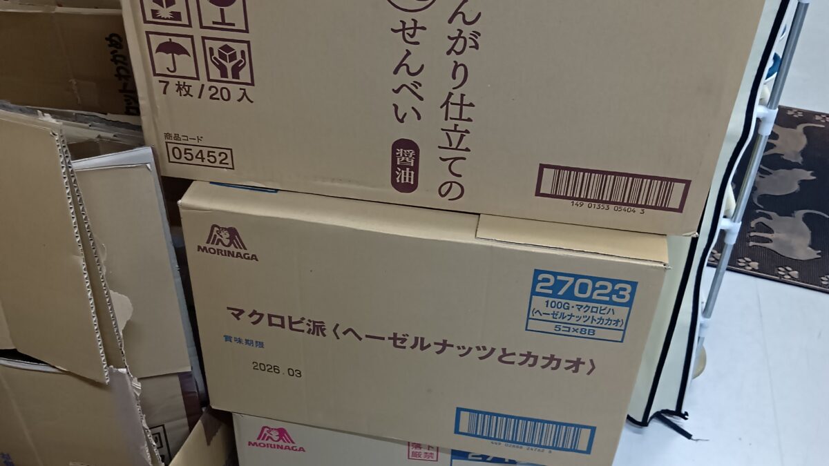 入荷しました。